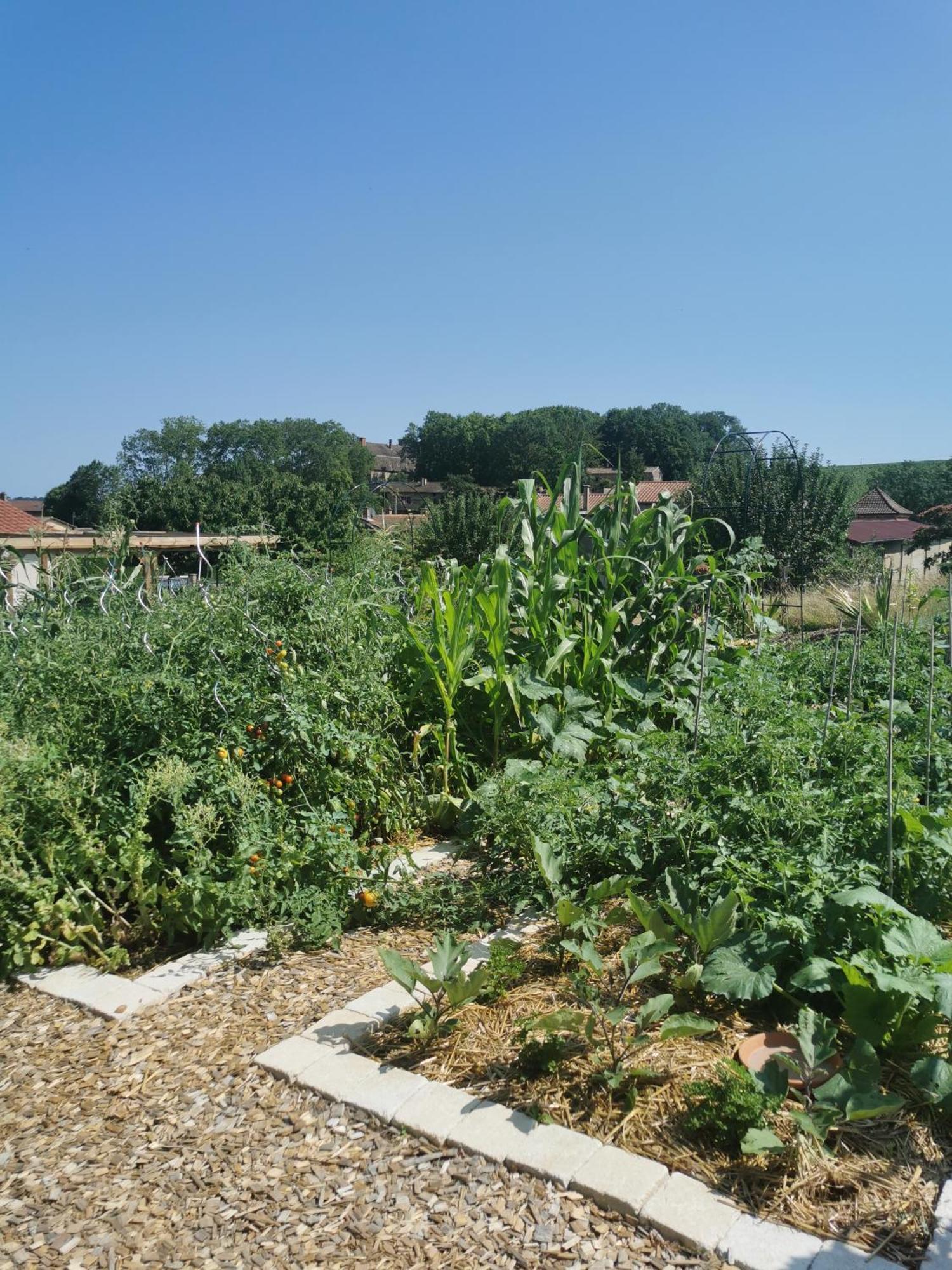 Au Jardin Des Deux Roches Bed & Breakfast Prisse Ngoại thất bức ảnh